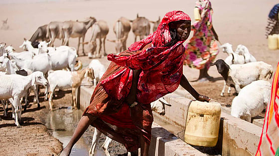 Rödklädd kvinna hämtar vatten vid torka i Kenya