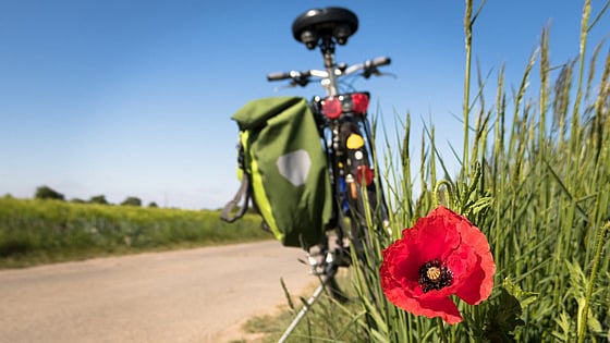 En bild på en cykel