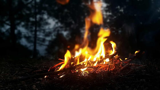 Eld i naturen